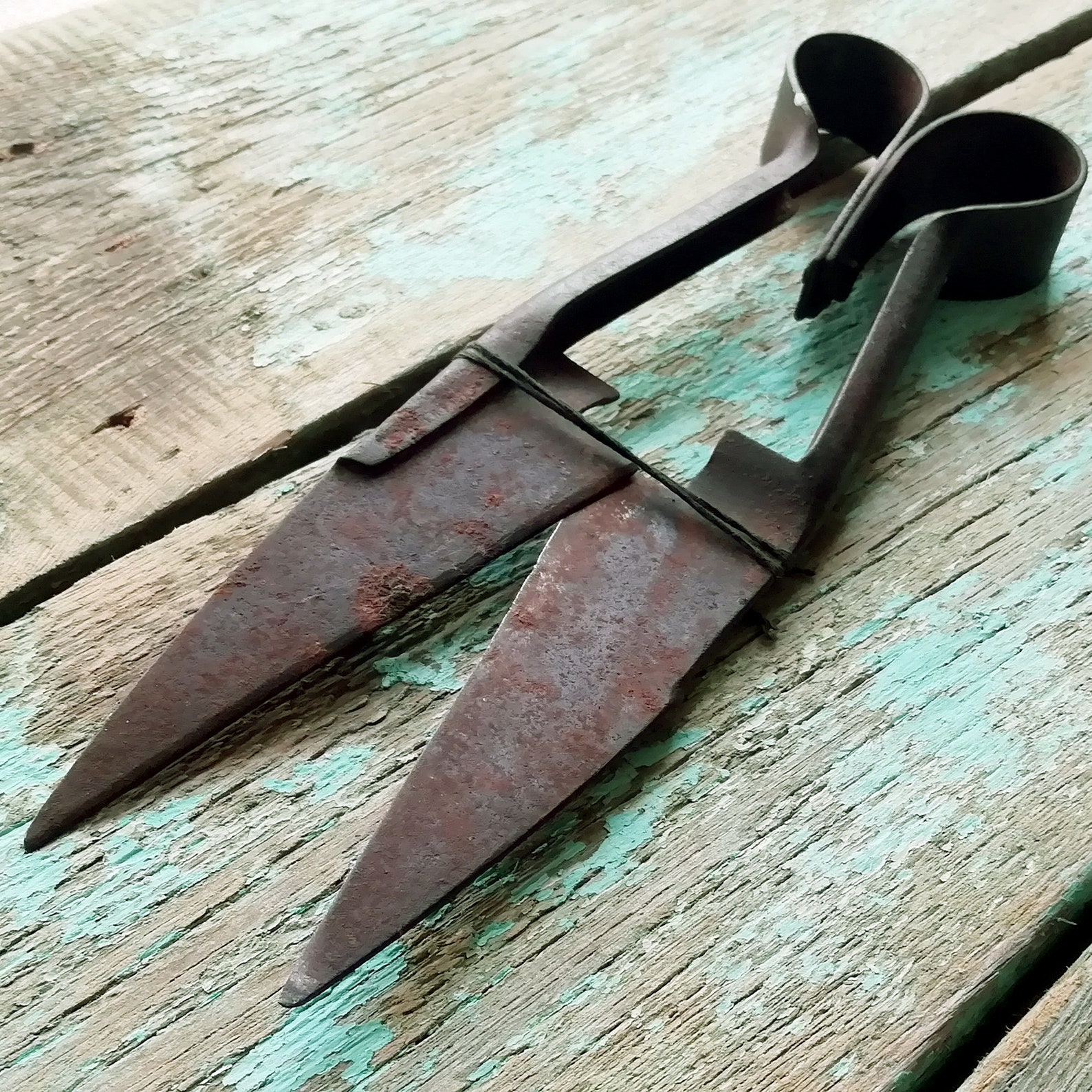 Old rusty sheep shears Vintage farm tool. Antique hand sheep Etsy