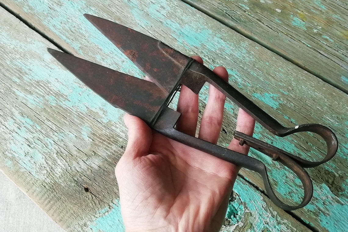 Old rusty sheep shears Vintage farm tool. Antique hand sheep Etsy
