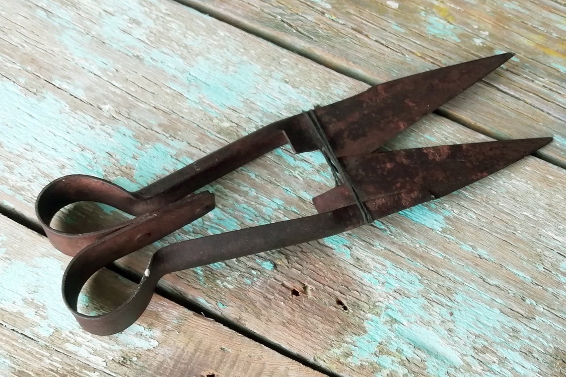 Old rusty sheep shears Vintage farm tool. Antique hand sheep Etsy