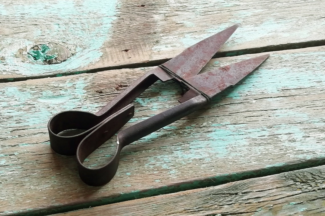 Old rusty sheep shears Vintage farm tool. Antique hand sheep Etsy