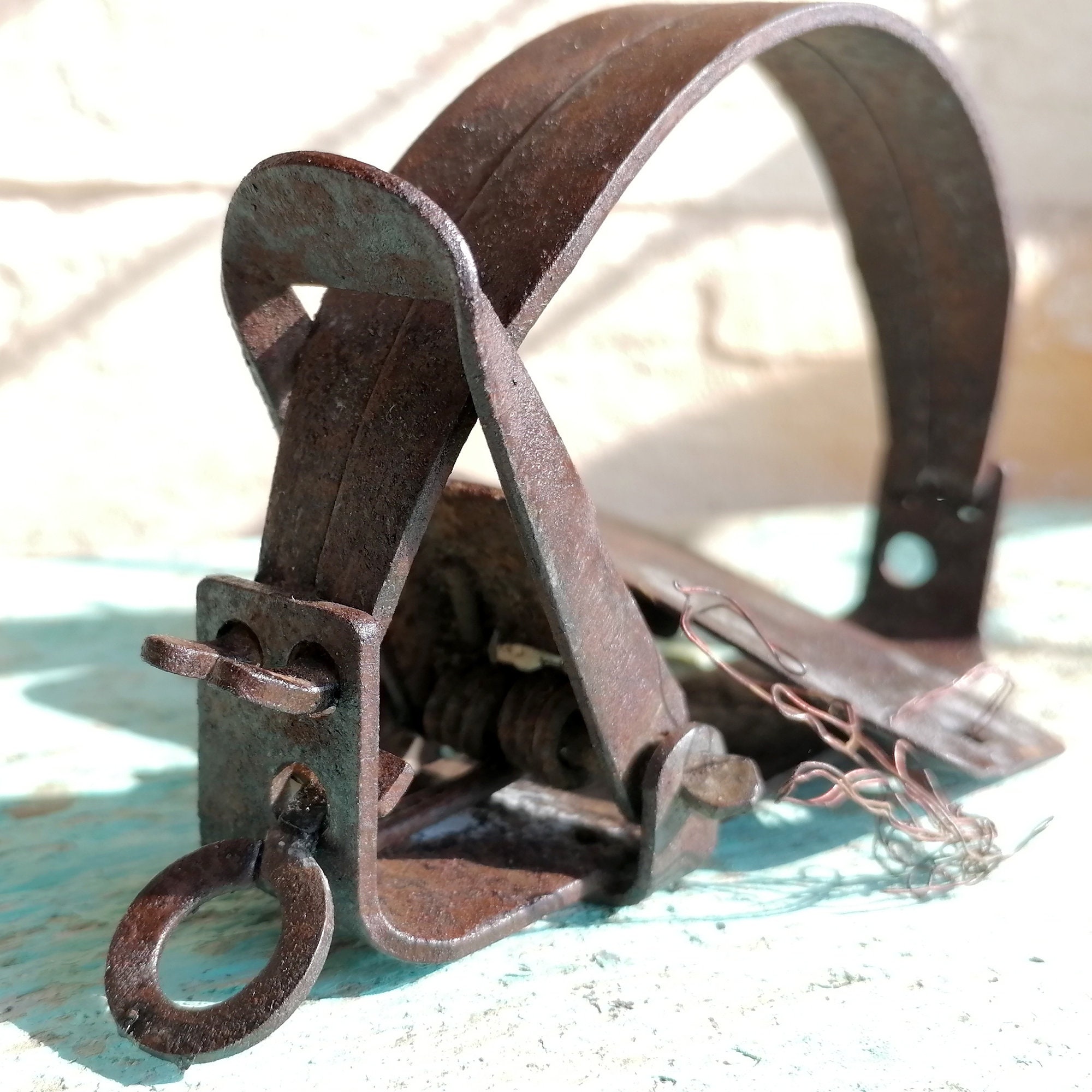 Dog Proof Traps for sale Only 4 left at 65