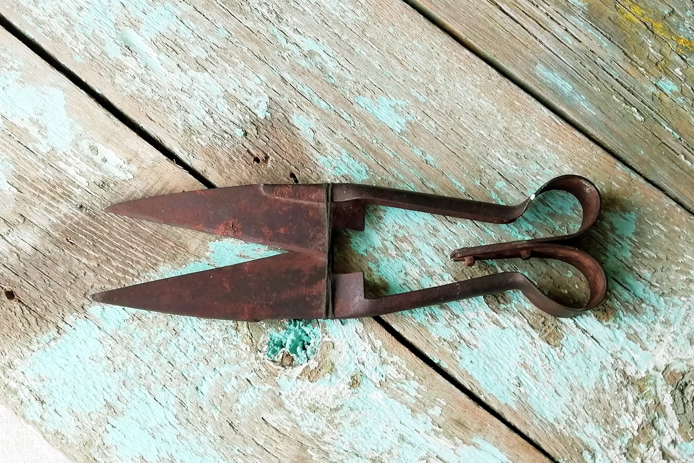 Old rusty sheep shears Vintage farm tool. Antique hand sheep Etsy