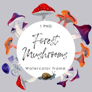 Watercolor Mushrooms and snail Frame Clipart/ Autumn Forest Mushroom printable decor/ Decorative border with colorful mushrooms PNG file