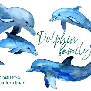 Aquarelle Dolphin Family Clipart / Cute Dolphins Digital Télécharger Fichiers PNG / Nautical Animal Painting Clip Art Téléchargement instantané