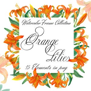 Oranje leliebloemen in decoratieve naadloze randen, Floral Frames-collectie, 10 bloemelementen Clip Art, afdrukbare composities, png-bestand