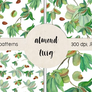 Aquarelle Almond Nuts sans couture pack de motifs. Dessinez à la main une brindille d’amande. Téléchargement instantané de papier numérique. Illustration de branche d’amande.