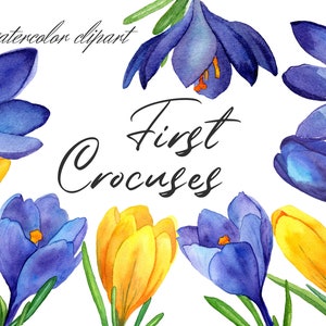 Aquarelle Crocus Spring Crocuses Clipart / Crocus Flower Clip Art / Spring Flowers PNG Instant Download / Projet DIY / Floral Decor Elements