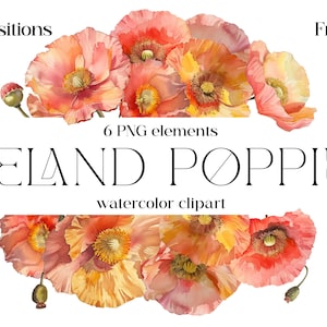 Aquarelle coquelicots d'Islande botanique cadres Clipart/téléchargement numérique cadres couronnes/pavot A4 cadre PNG/téléchargement horizontal frontière transparente