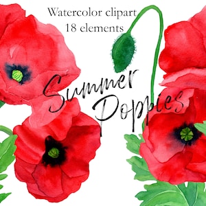 Watercolor Summer Poppies Clipart/ Red Poppy Flower Clip Art/ Field Flowers illustrations /Summer floral Invitation Decor / Scrapbooking DIY