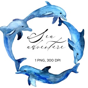 Watercolor Dolphins in Circle Birthday Frame/Dolphin on greeting card template/Sea Animals Dolphins Clipart/Free Commercial Use