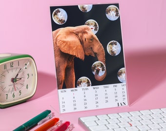 2024 Desk Calendar with Stand | 5x7 Wildlife Monthly Poster Calendar | Calendar For 2024 | Art Calendar