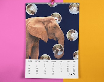 Wall Calendar For 2024 | 12 Month Hanging Wall Calendar | Animal Calendar | Spiral Hanging Calendar  |  2024 Calendar | Art Calendar