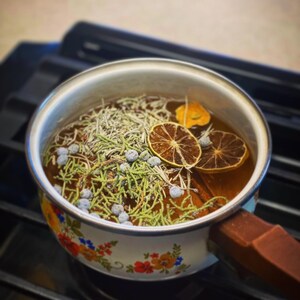 Cleansing & Renewal Simmer Pot Blend – Juniper, Desert Sage, Citrus, Cinnamon | Herbal Ritual Mix for Intention Setting + New Beginnings
