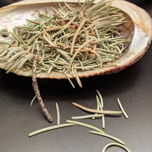 Dried Blue Spruce Needles – 1 oz Herb for Protection, Simmer Pots, Smoke Blends, Ritual Use