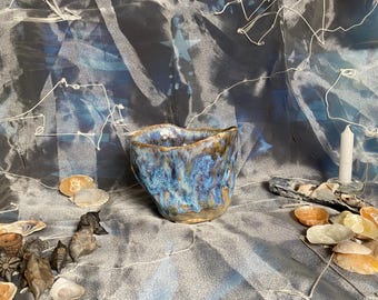 tide pool bowl