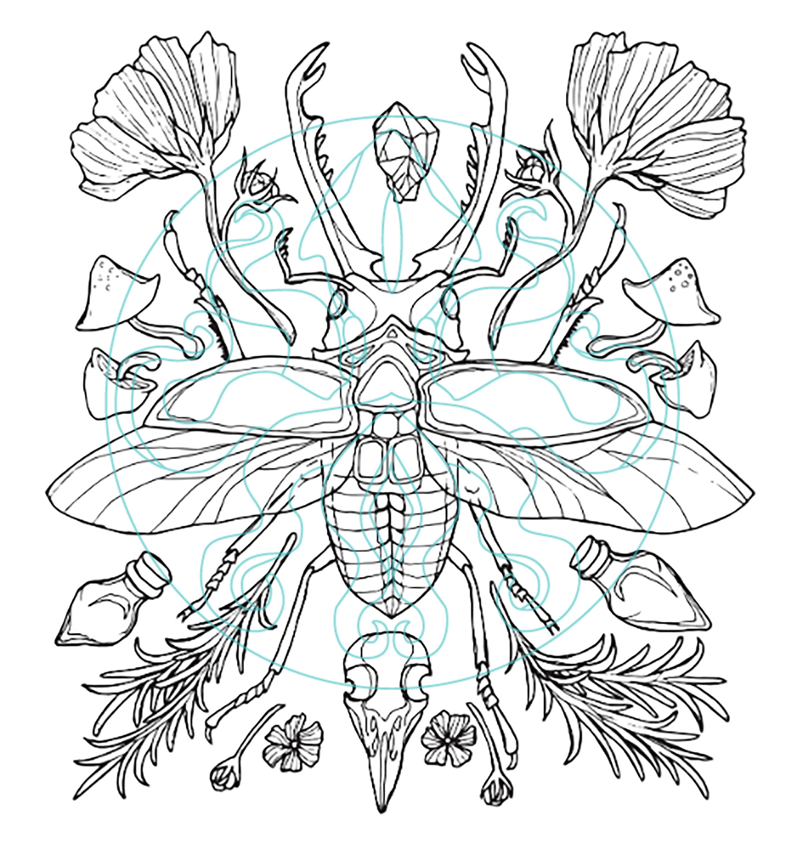 Printable Coloring Page Beetle and Other Natural Elements - Etsy