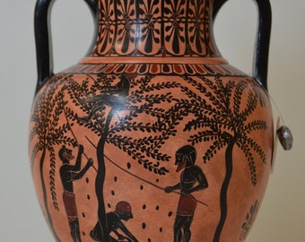 May include: Black and red Greek amphora with a lid. The amphora is decorated with a black and white geometric pattern and a scene of figures harvesting olives from a tree.