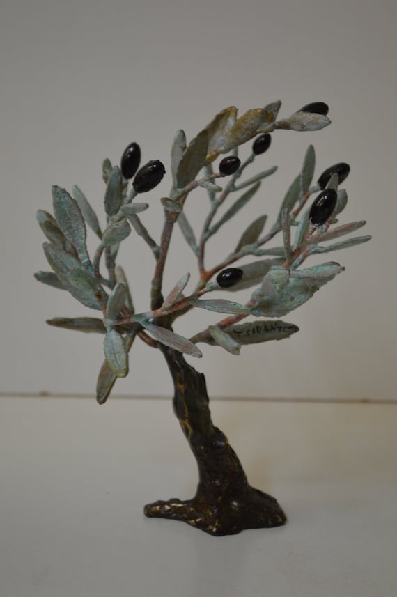 glauca plant Pilea 'Aqua'  Silver Sparkle Hanging Basket