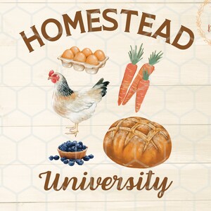 Può includere: Un pollo bianco e marrone, una scatola di uova, carote, un pane, mirtilli in un cestino e il testo "Homestead University" su uno sfondo di legno bianco.