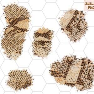 May include: Five abstract shapes of brown and black snake skin pattern on a white background. The shapes are irregular and have a distressed, watercolor-like effect.