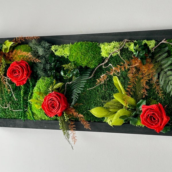 Tableau végétal stabilisé avec roses rouges 57x25 cm