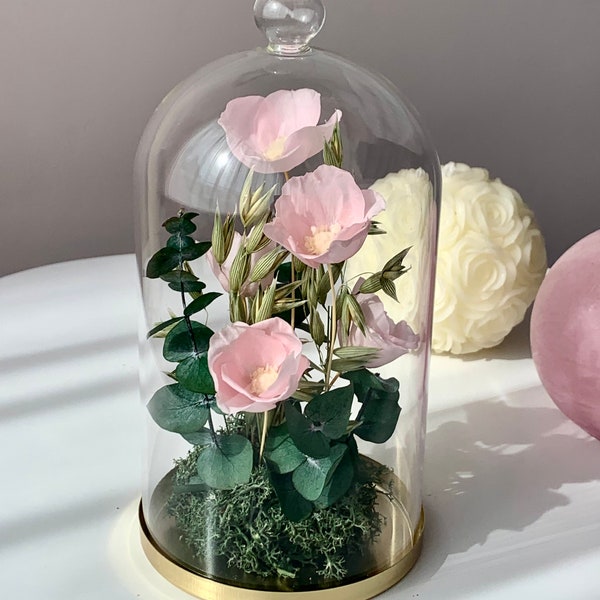 Composition florale sous cloche en verre. Fleurs séchées et stabilisées sous verre. Rose sous cloche.