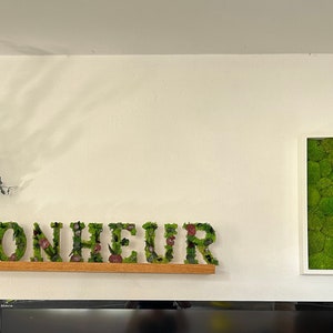 Letras de plantas estabilizadas