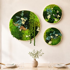 Puede incluir: Tres piezas de arte mural circulares con musgo verde preservado, pequeñas flores blancas y hojas de eucalipto en marcos de madera delgados. El conjunto incluye un círculo grande y dos más pequeños, mostrando texturas variadas de follaje verde vibrante.