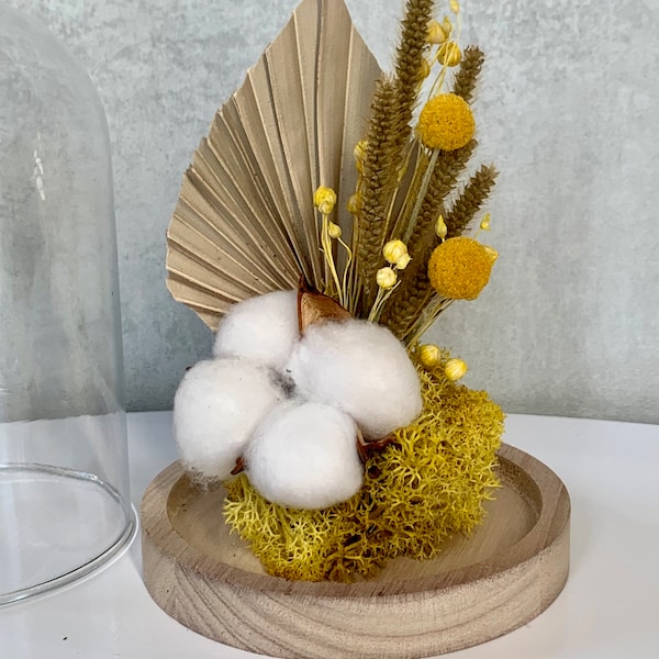 Composition de plantes séchées et stabilisées sous cloche en verre. Fleurs séchées dans des tons naturels et jaune.