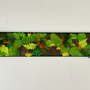Panoramisch gestabiliseerd plantenschilderij - Gestabiliseerde varens - Handgemaakt ambachtelijk cadeau - Milieuvriendelijk cadeau voor thuis - Plantenkunst voor aan de muur