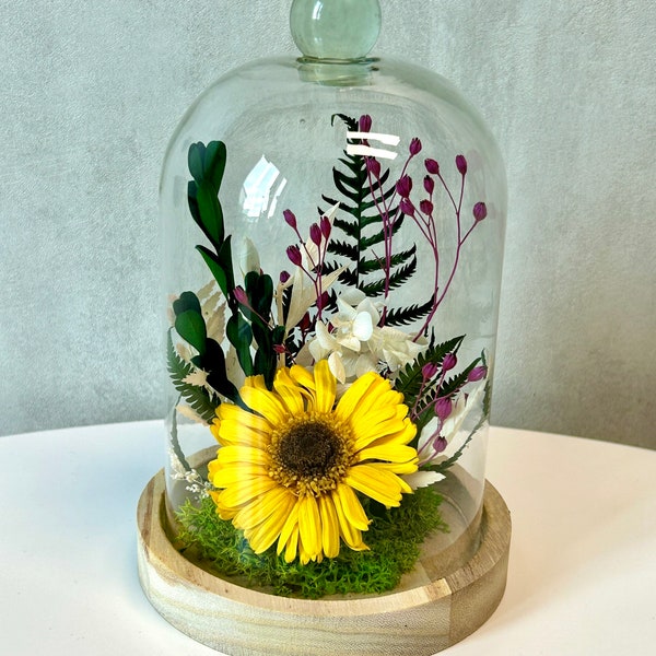 Composition florale sous cloche en verre. Gerbera jaune stabilisé sous cloche.