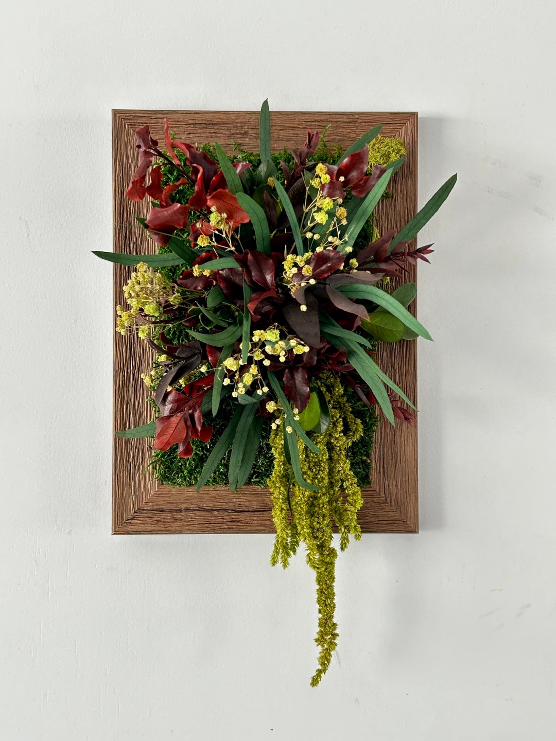 Stabilized Plant Frame Amaranth and Pittosporum - Etsy