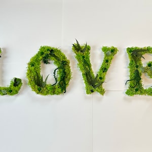 Letras de líquen estabilizadas LOVE