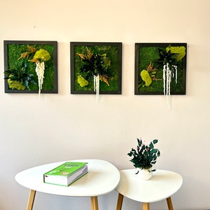 Trío de marcos vegetales estabilizados – Decoración de pared natural y ecorresponsable - Arte mural Botanical HOME - Letras de madera hechas a mano
