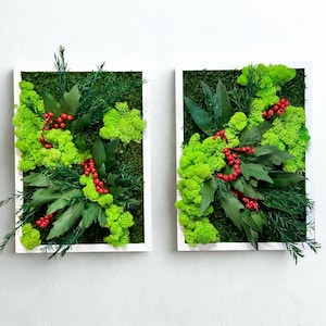 May include: Two framed wall art pieces featuring vibrant green moss, dark green leaves, and bright red berries. The rectangular frames are white, creating a striking contrast with the natural elements. A fresh, botanical theme.