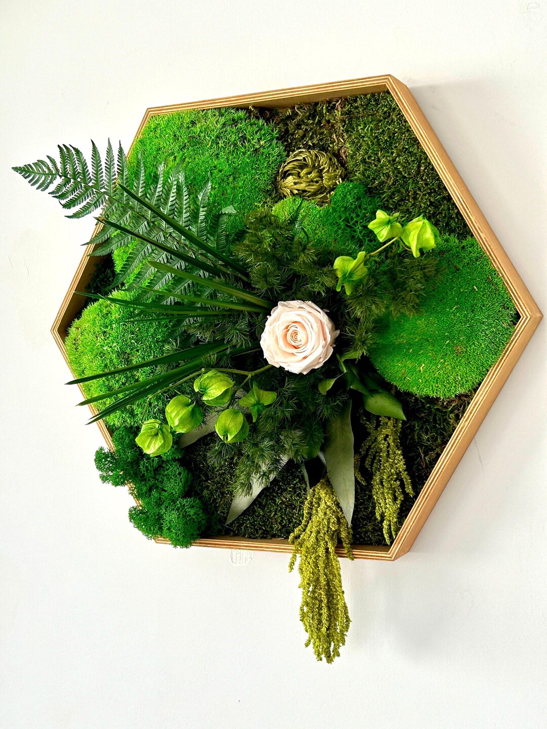 Hexagonal Plant Frame With Pastel Pink Wall Painting Made From