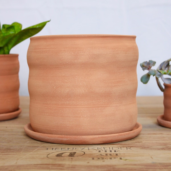 MEDIUM 6” Curvy Terra Cotta Planter [ ships now ]