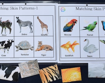 Animal Skin Pattern Worksheets | Visual Diffrence | Toddlers | Kindergarten | Preschool | Home Schooling