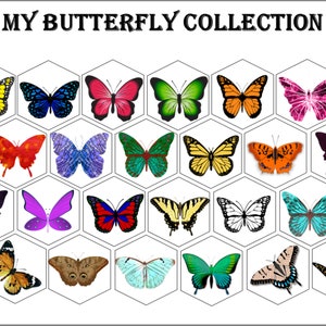 My Butterfly Collection | Matching Patterns | Worksheet| Butterfly Poster | Printable | Preschoolers| Homeschool Learning | Wall Decor