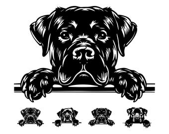 Rottweiler avec pattes vers le haut SVG, conception d'empreintes de pattes de chien mignon, silhouette de rottweiler pour T-shirts, autocollants et travaux manuels, téléchargement immédiat