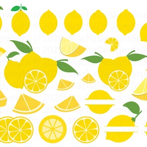 Lemon SVG Bundle, Lemon SVG, Lemon Slice, Instant Download, Bundle SVG, Svg Files For Cricut, Lemon ClipArt, Lemon Cut File Vector, File Svg