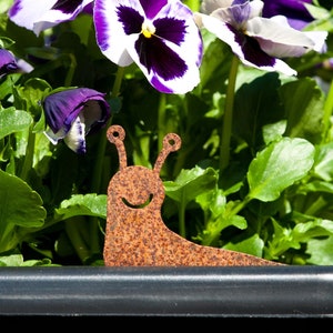 May include: A close-up of a planter with purple and white pansies. A rusty metal snail sculpture is in the foreground.
