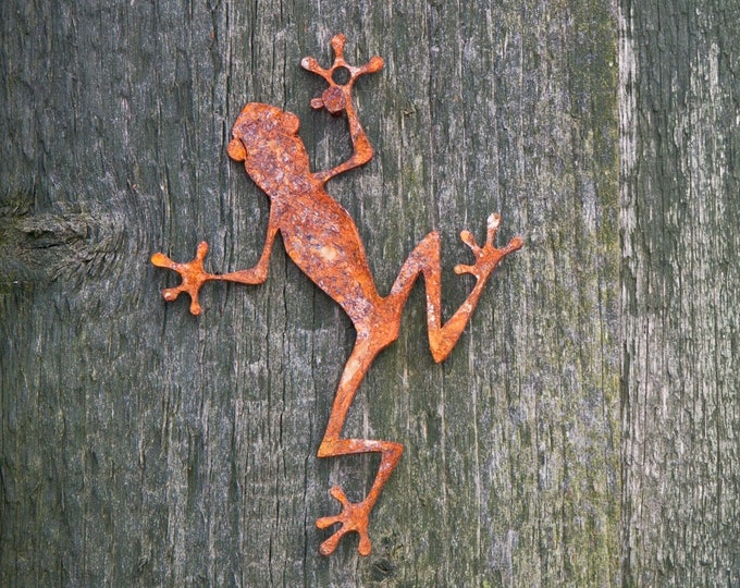 Metal Tree Frog Wall Art, Frog Ornament, Amphibian Wall Art, Fence Art, Pet Frog Memorial Gift, Garden Bar Decor, Garden Gift, Ready To Rust