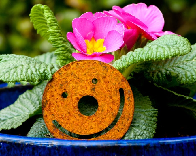 Happy Face, Smiley Face, Metal Plant Pot Spike, Rusty Garden Art, Flower Pot ornament, Window Box Decoration, Gardening Gift, Ready To Rust