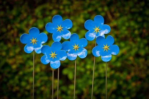 Flowers - Forget-Me-Not