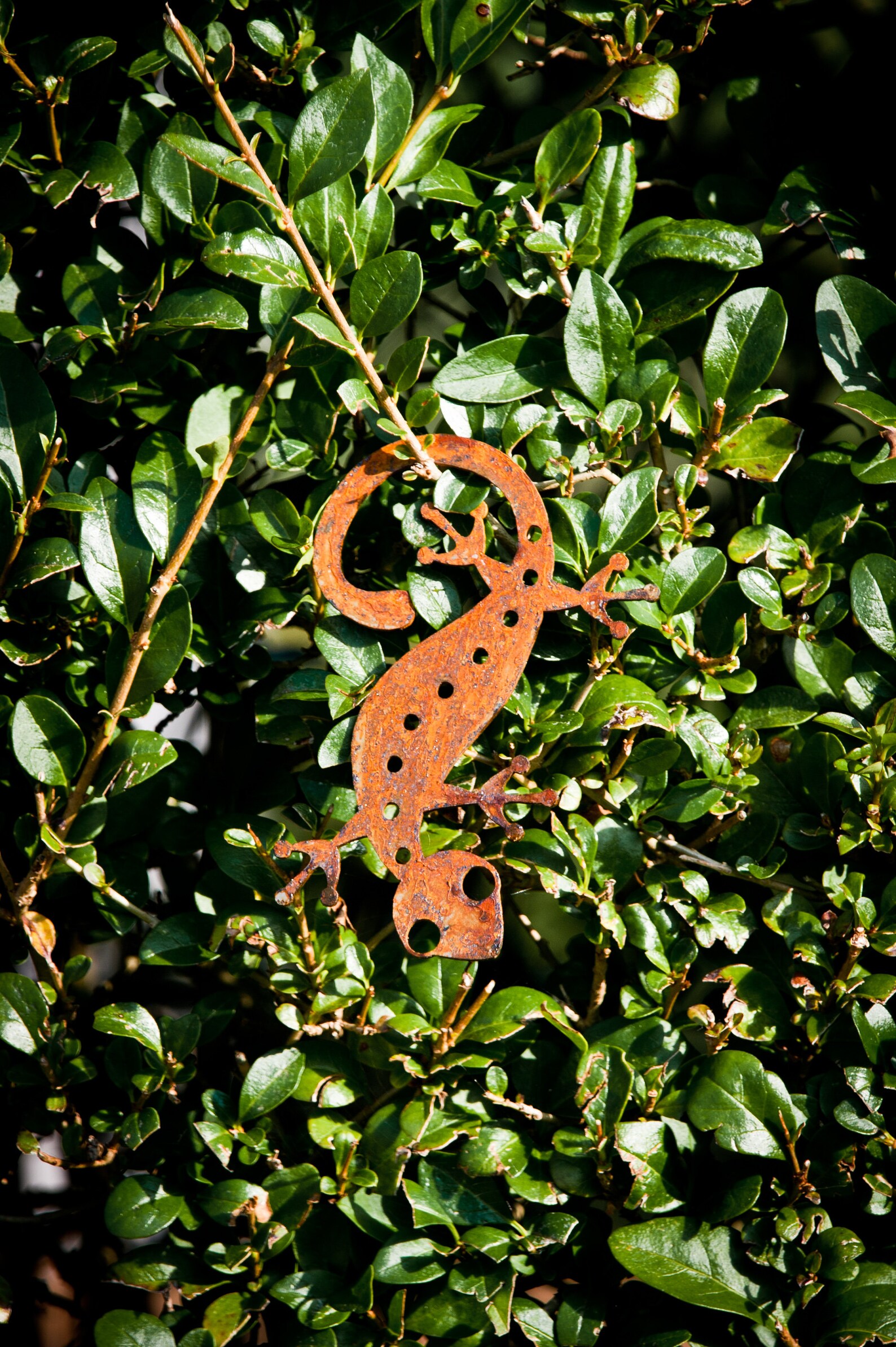 Metal Gecko Lagarto Decoración de arte de jardín oxidado | Etsy