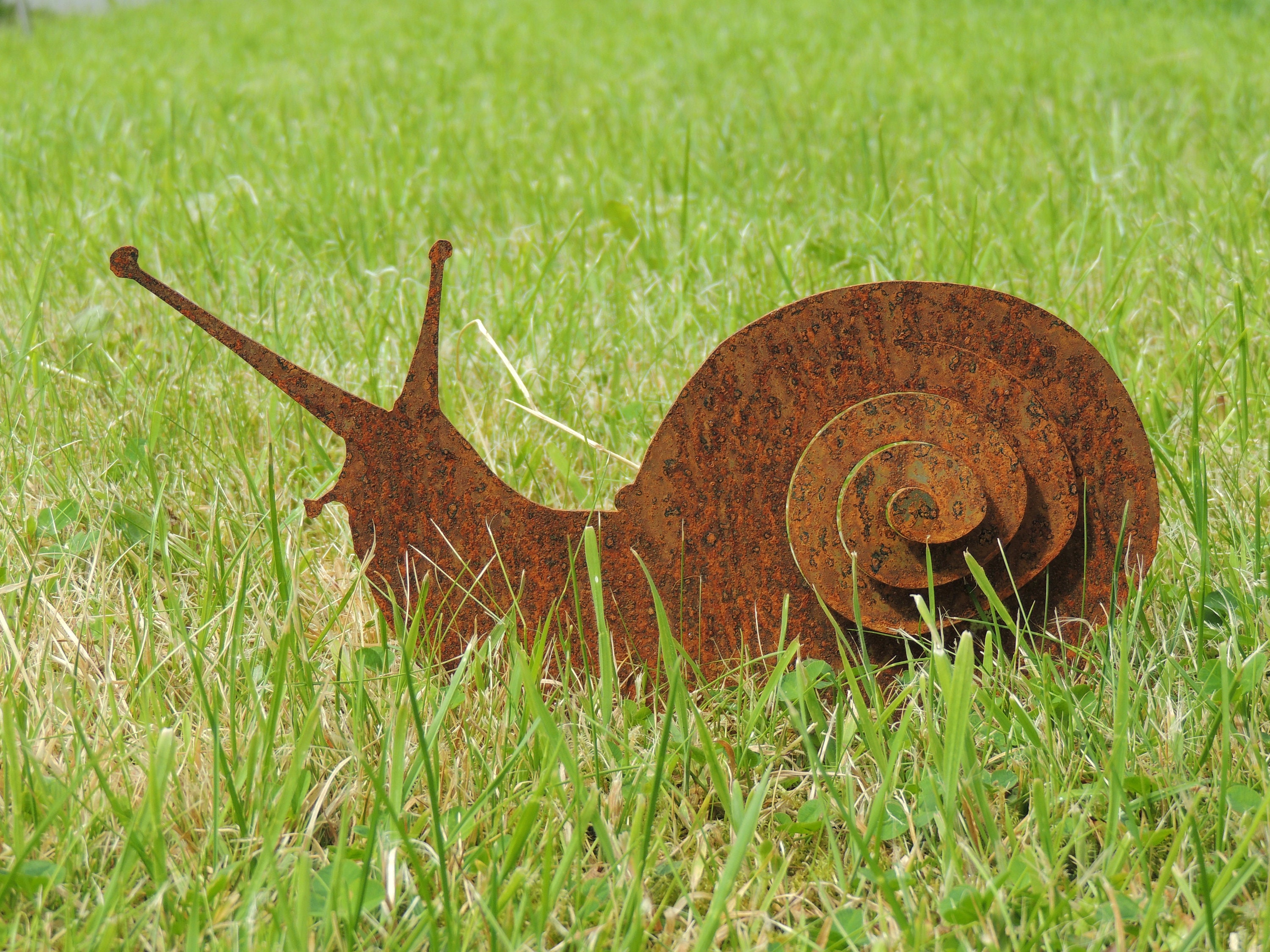 Metal Snail Rusty Garden Art Decor Lawn / Pot / Fence Etsy UK
