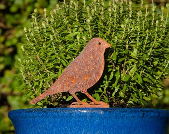Metal Finch Plant Pot Decoration, Finch Lawn Ornament, Garden Bird Gift, Rustic Garden Decoration, Garden Metal Art, Ready to Rust