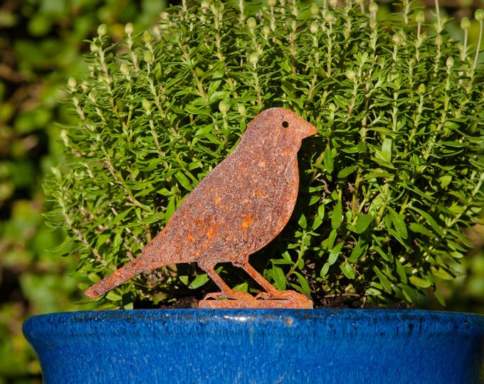 Metal Finch Plant Pot Decoration, Finch Lawn Ornament, Garden Bird Gift, Rustic Garden Decoration, Garden Metal Art, Ready to Rust