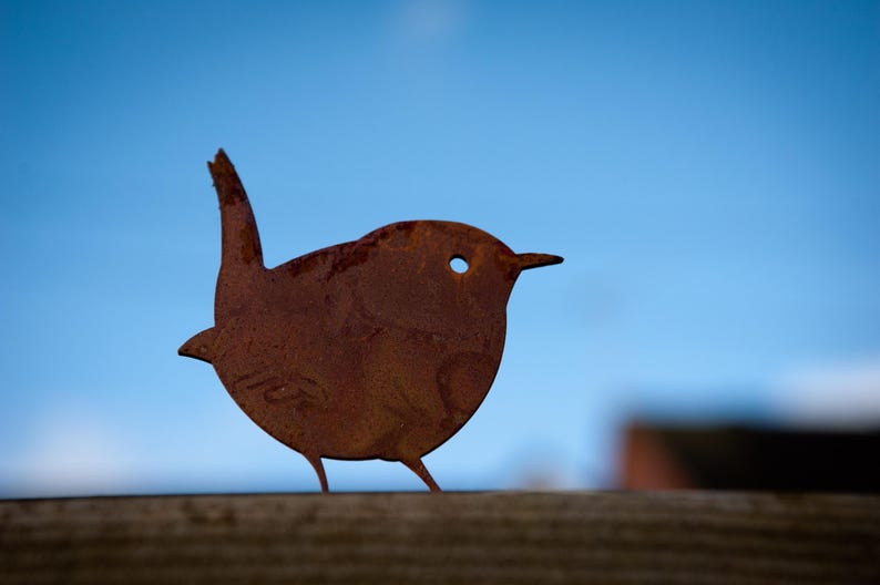 Compact metal wren ornament with warm rust finish, designed to weather gracefully year-round. Wildlife-inspired garden décor for planters and borders; a unique gift for bird lovers, gardeners and housewarming occasions.